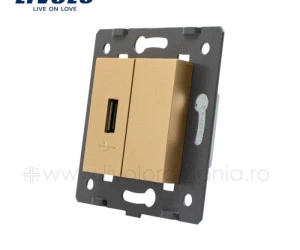 Modul Priză simplă USB, Auriu, Livolo