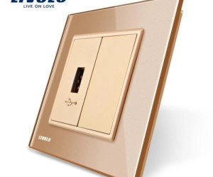 Priză simplă USB, Auriu, Livolo