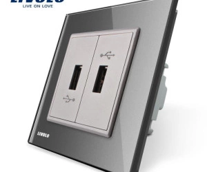 Priză dublă USB, Gri, Livolo