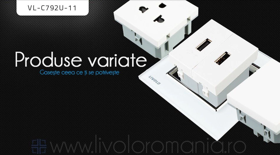 Priză dublă USB, Auriu, Livolo