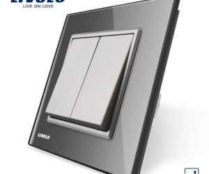 Întrerupător mecanic dublu, cap scară / cruce, Gri, Livolo