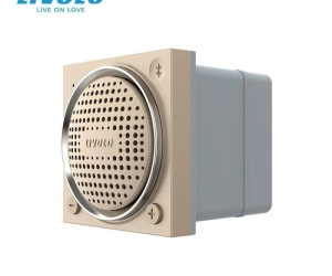 Modul difuzor Bluetooth, 2M, Auriu, Livolo