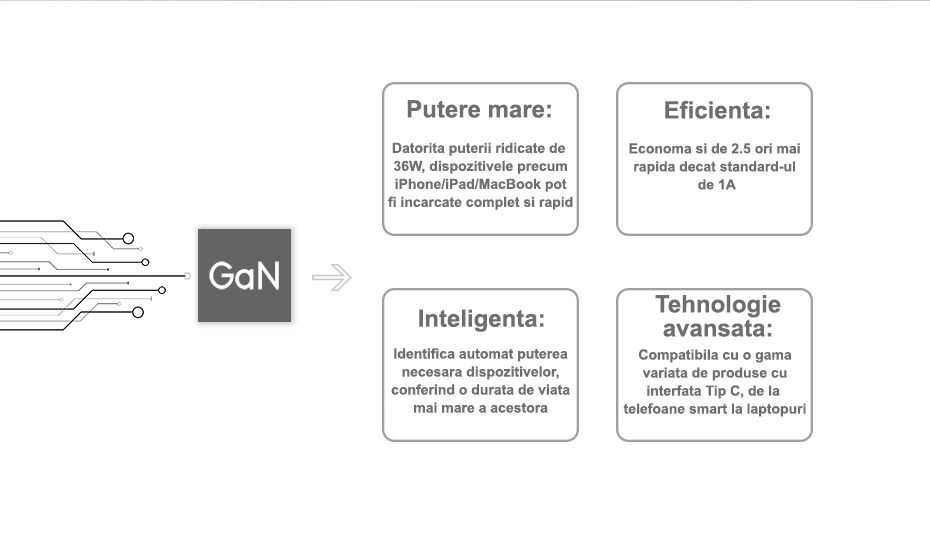 Modul priza dubla USB + USB tip C, Negru, Livolo