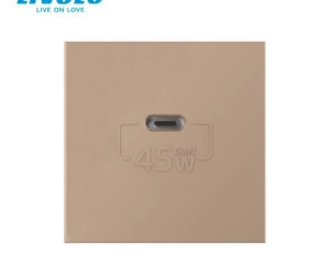 Modul priza simpla USB tip C, Auriu, Livolo